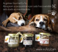 /album/galeria-de-fotos-pagina-inicial/cartaz-eufiz-low-jpg/